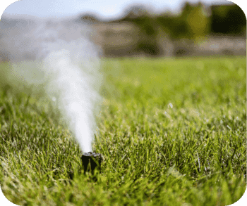 A single lawn sprinkler emitting a fine mist over green grass.